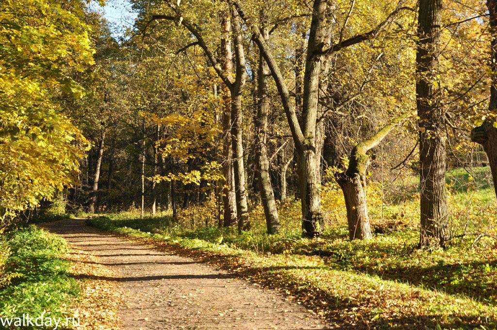 Осенняя природа очаровала сразу. Осенняя природа в парке Сергиевка.