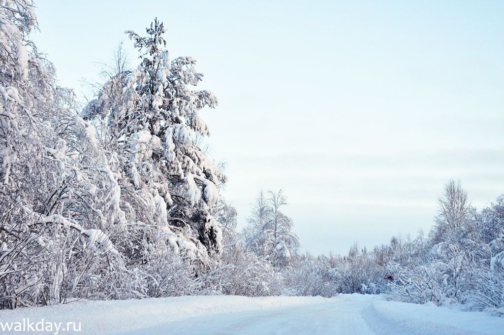 Природа за городом. Какая-же, все-таки, в этому году в Шенкурске красивая зима. Природа за городом. Какая-же, все-таки, в этому году в Шенкурске красивая зима.
