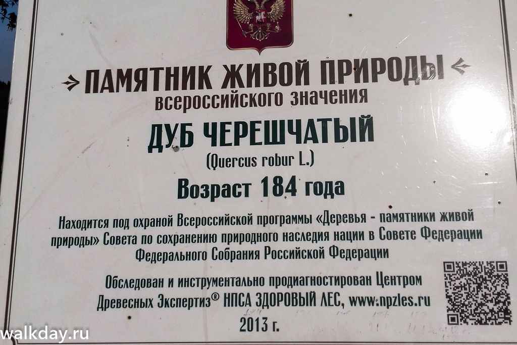 Информационная вывеска перед деревом Информационная вывеска перед деревом