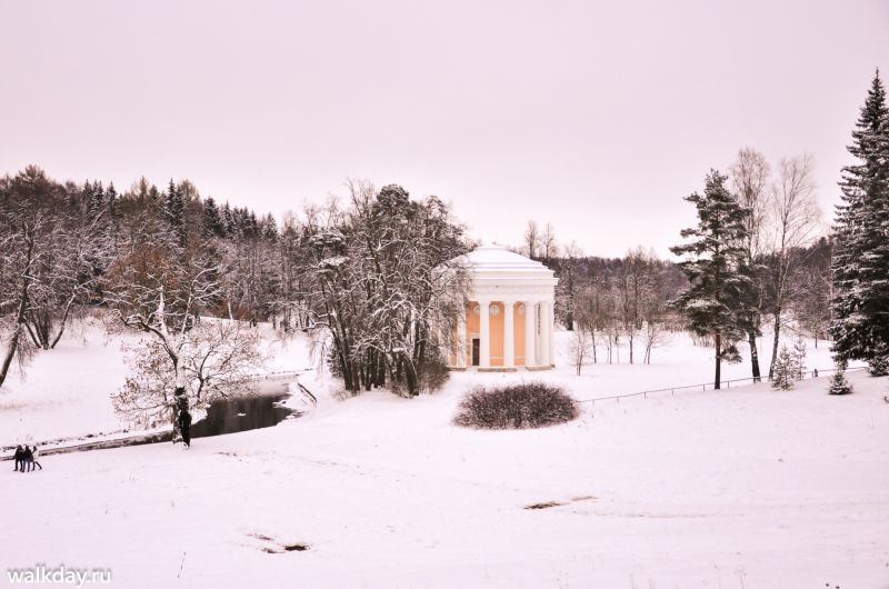 Павловский парк зимой